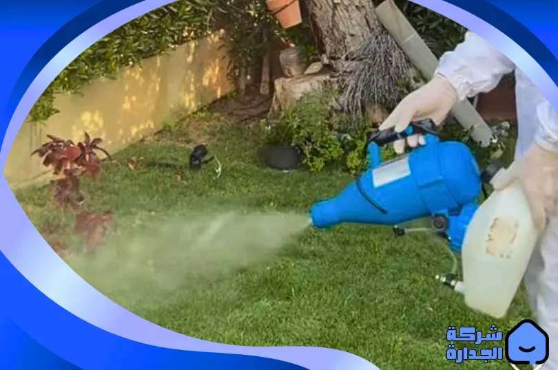 شركة مكافحة الفئران بجدة