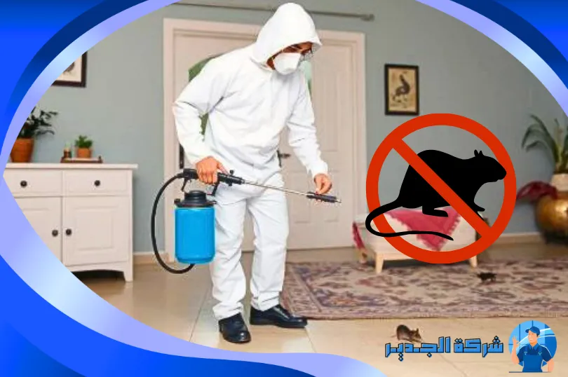 شركة مكافحة الفئران بمكة شركة مكافحة الفئران بمكة