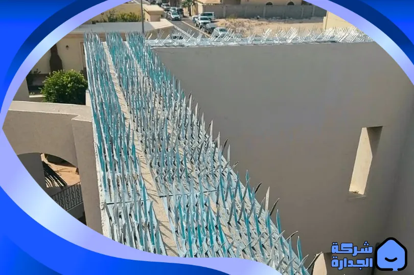 شركة تركيب طارد الحمام بمكة