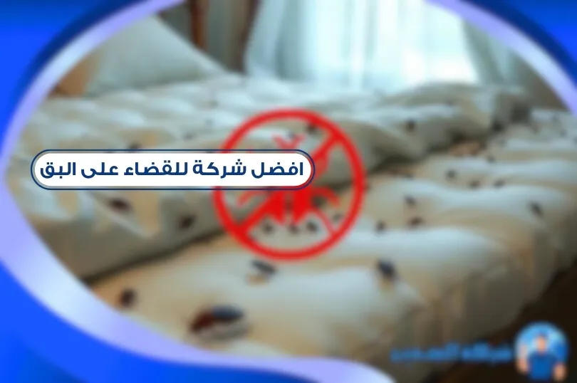 افضل شركة للقضاء على البق